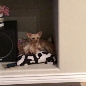 Meet your Posher, Nicole